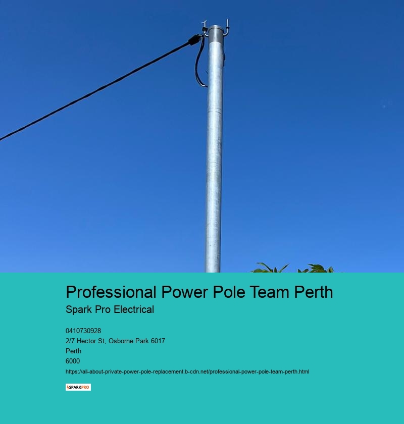 Professional Power Pole Team Perth